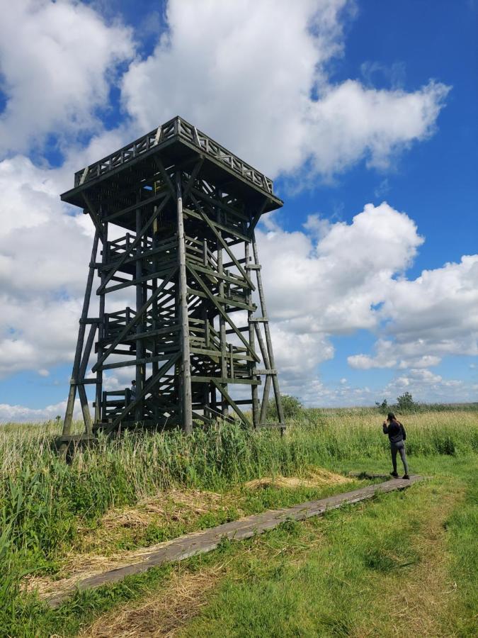 Czysta Greyowka Dom Kryty Strzecha W Gardna Parkヴィラ エクステリア 写真
